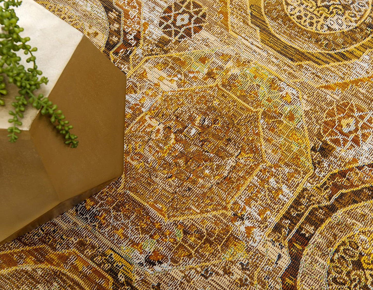 Baracoa Collection Bright Tones Vintage Traditional Beige Area Rug