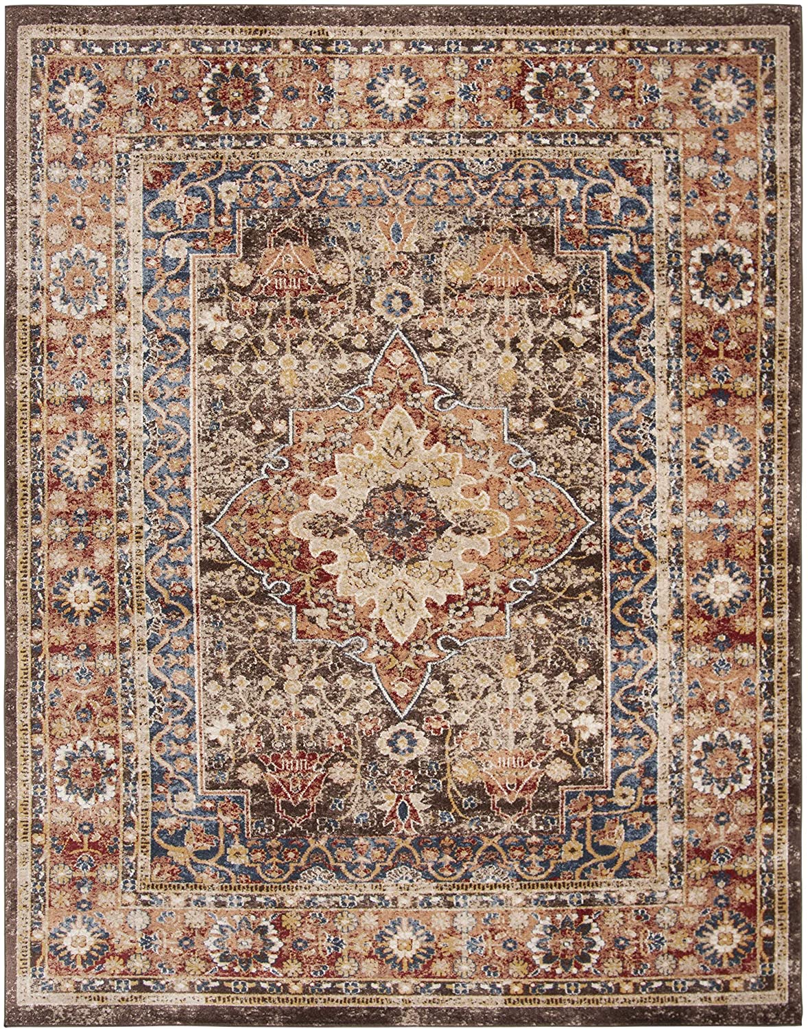 Traditional Oriental Distressed Brown / Rust Area Rug