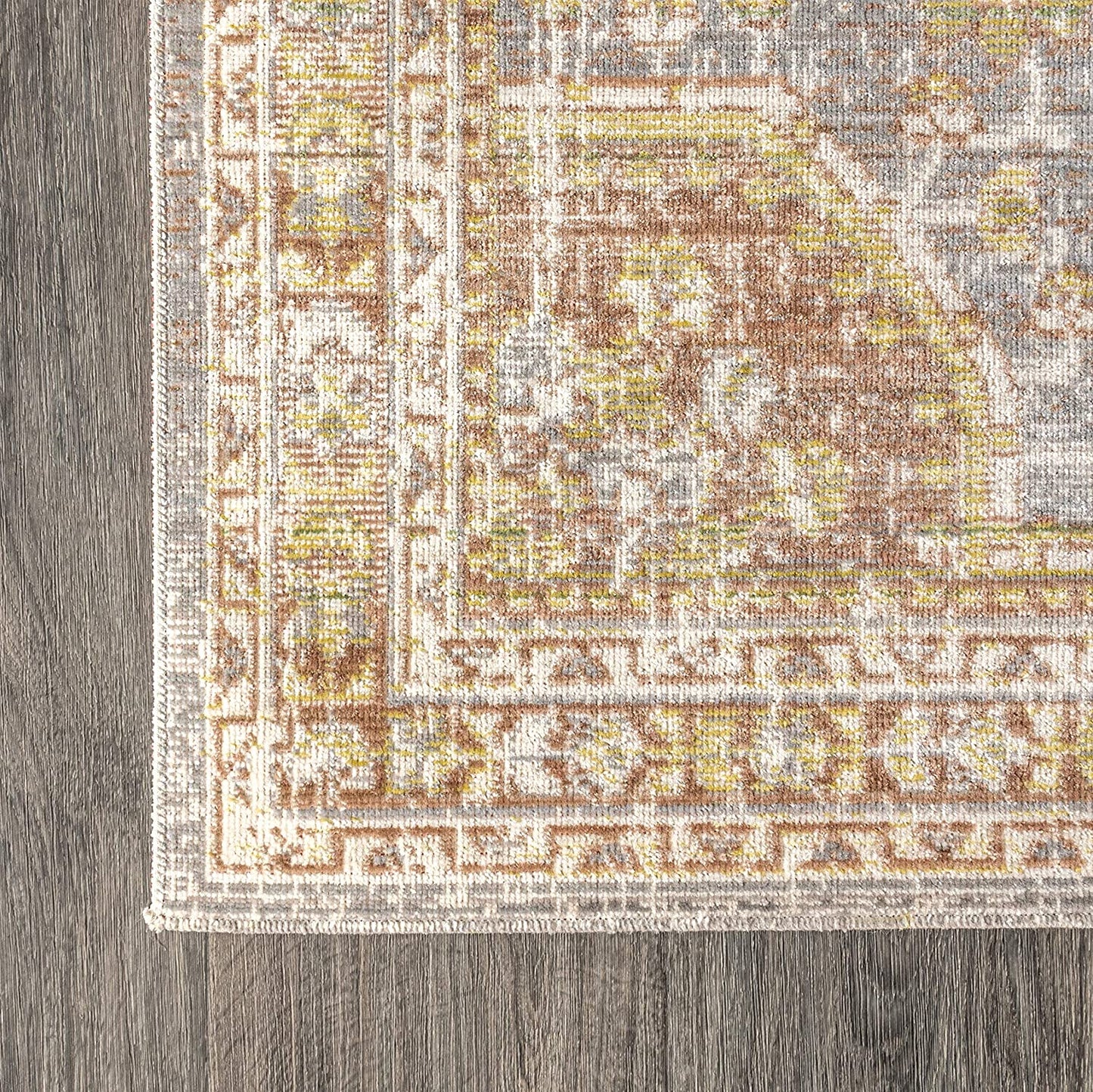 Petras Modern Ornate Medallion Area Rug, Gray/Brown