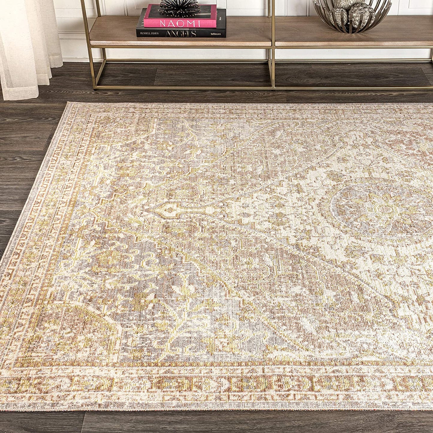 Petras Modern Ornate Medallion Area Rug, Gray/Brown