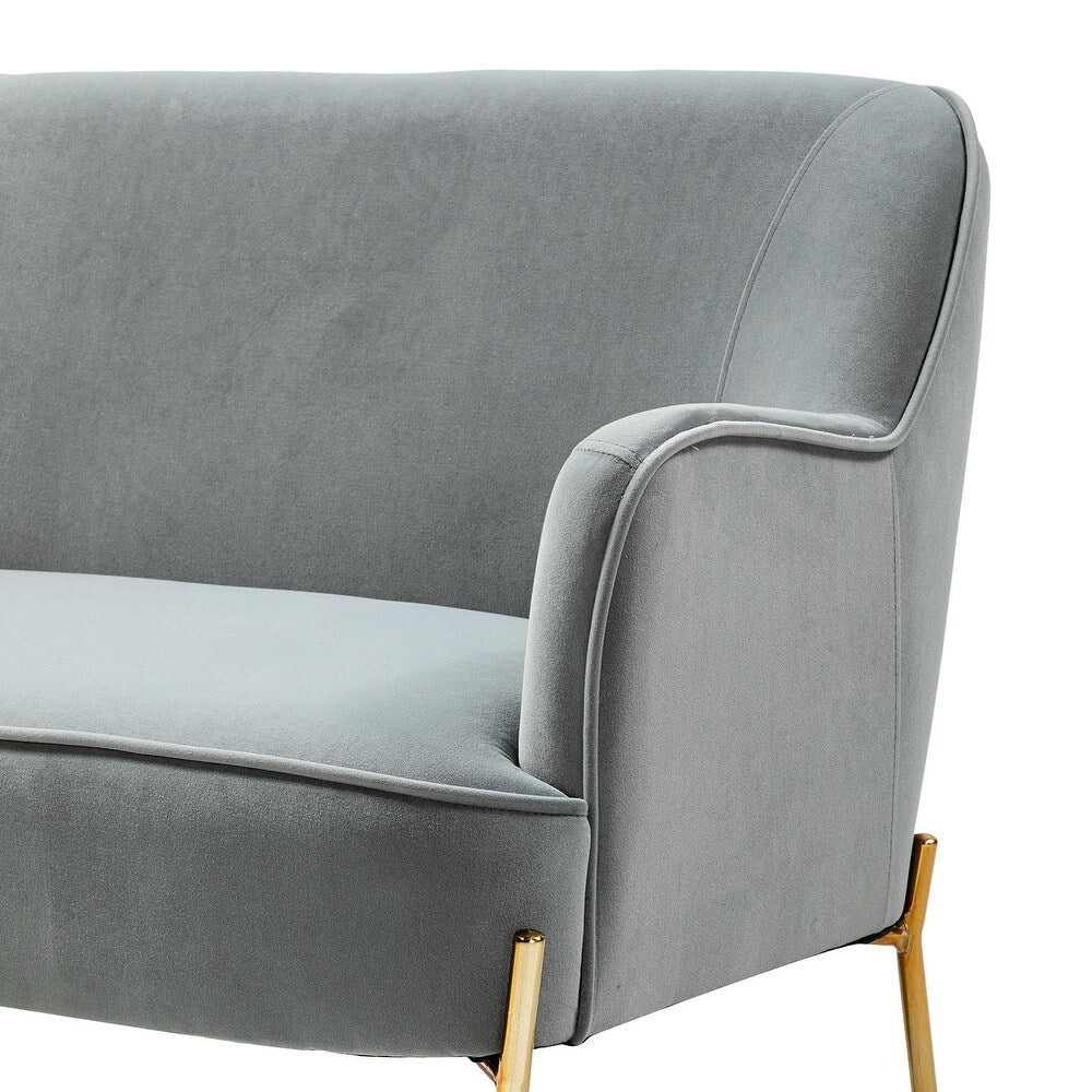 Barbara 43" Contemporary Velvet Loveseat Sofa with Goldtone Metal Legs