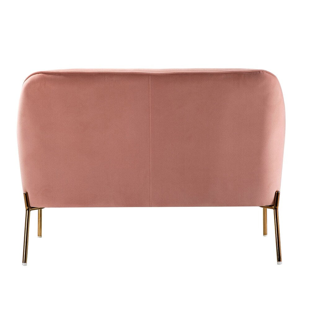 Barbara 43" Contemporary Velvet Loveseat Sofa with Goldtone Metal Legs
