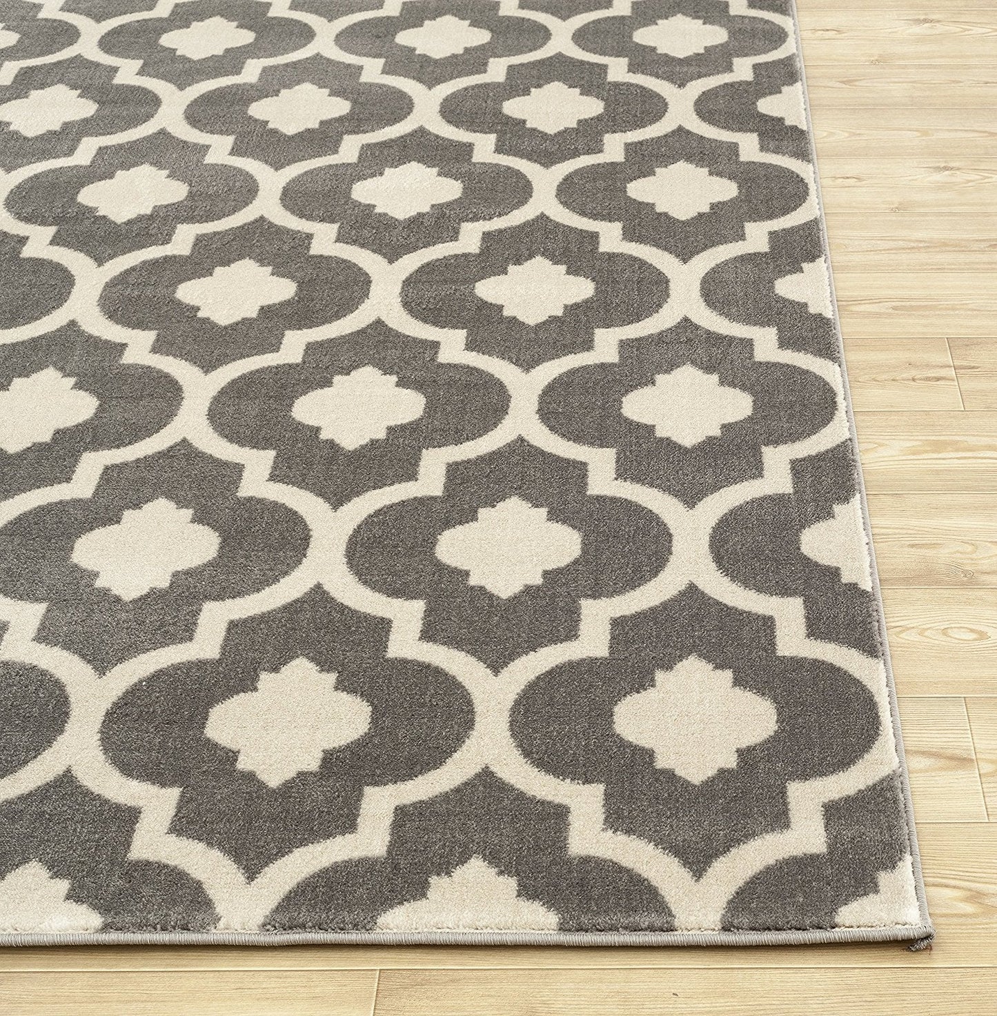 Trellis Gray/Grey Indoor Area Rug