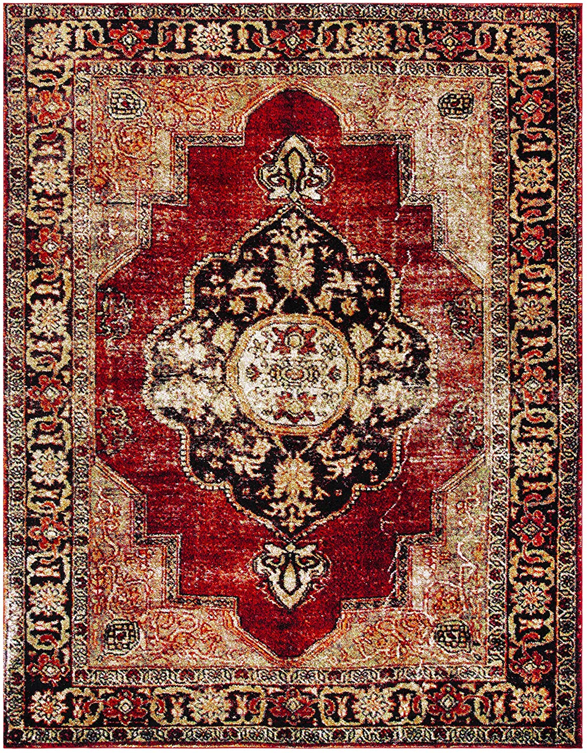Oriental Antiqued Red and Multi Area Rug