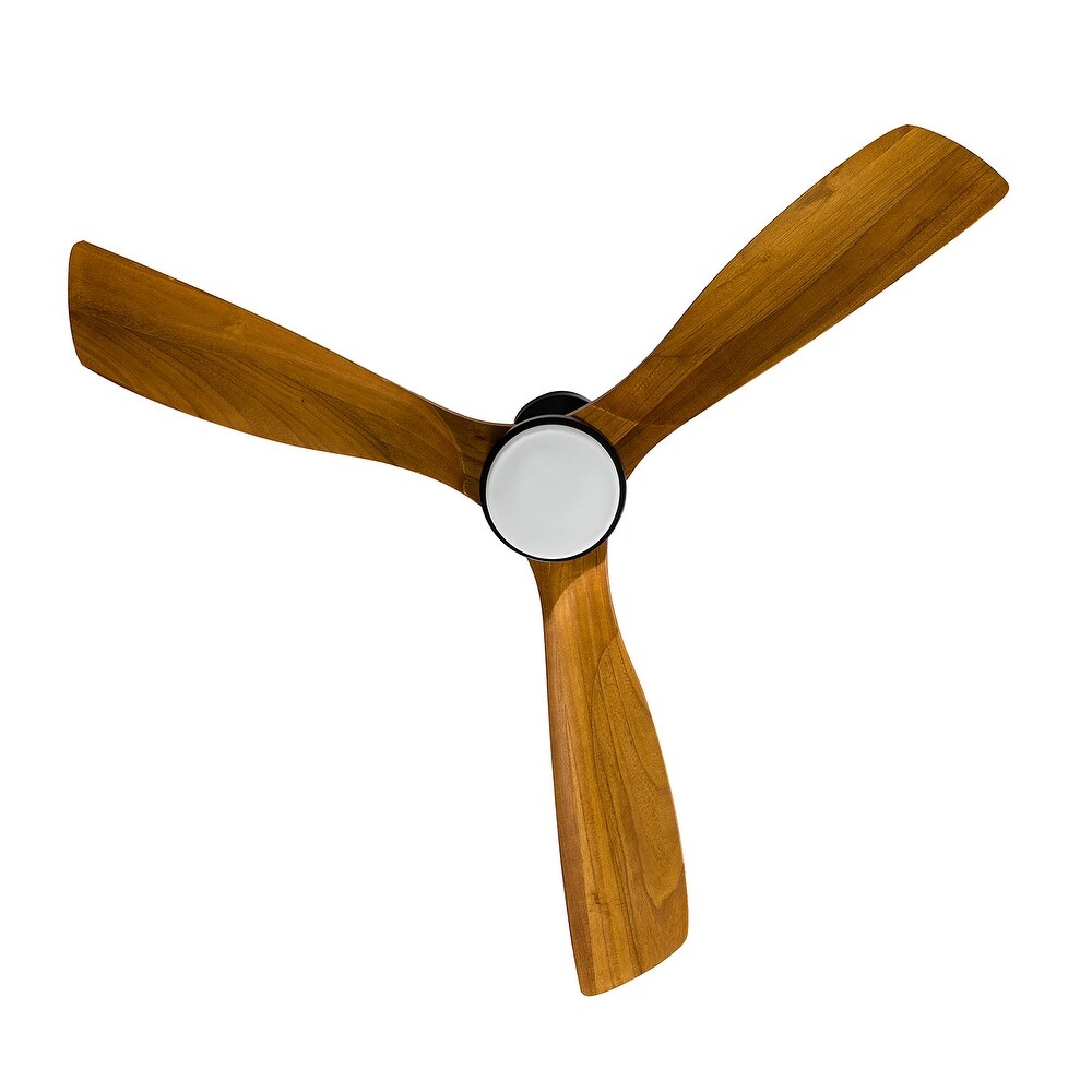 Brnn Multifunctional LED Light Ceiling Fans with Remote and Voice Control