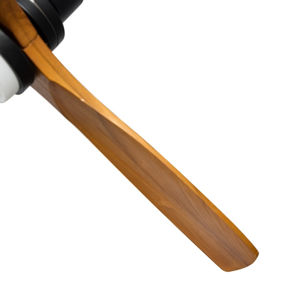 Brnn Multifunctional LED Light Ceiling Fans with Remote and Voice Control