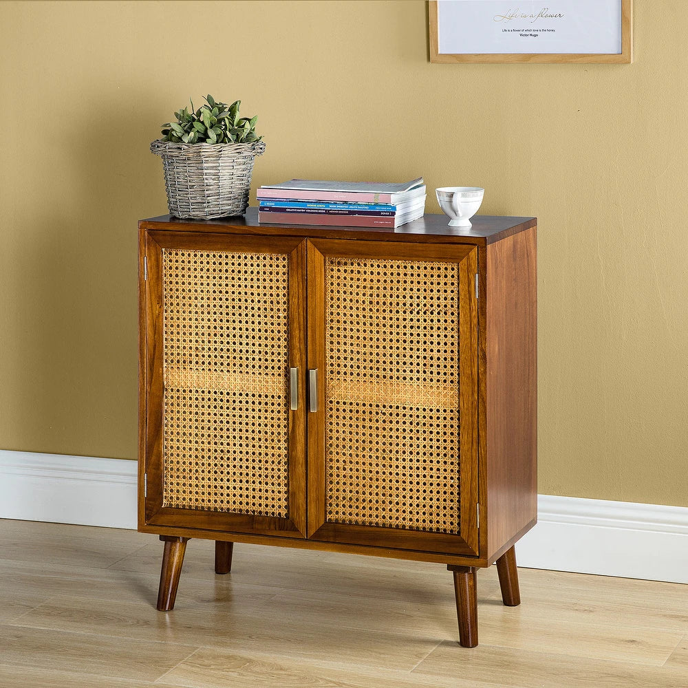 Borsippa 2-Door Accent Cabinet with Shelves