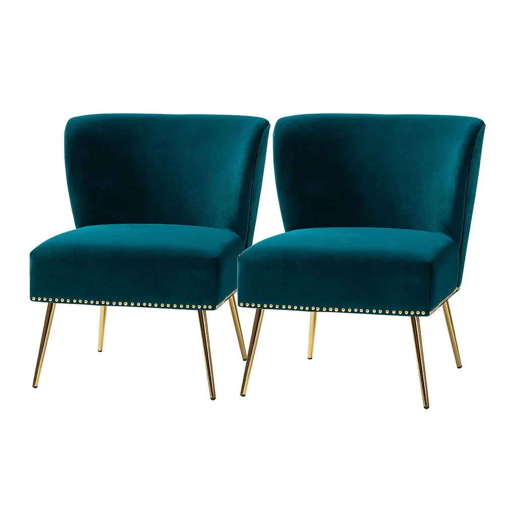 Celtia Modern Upholstered Accent Side Chairs with Nailhead Trim Set of 2