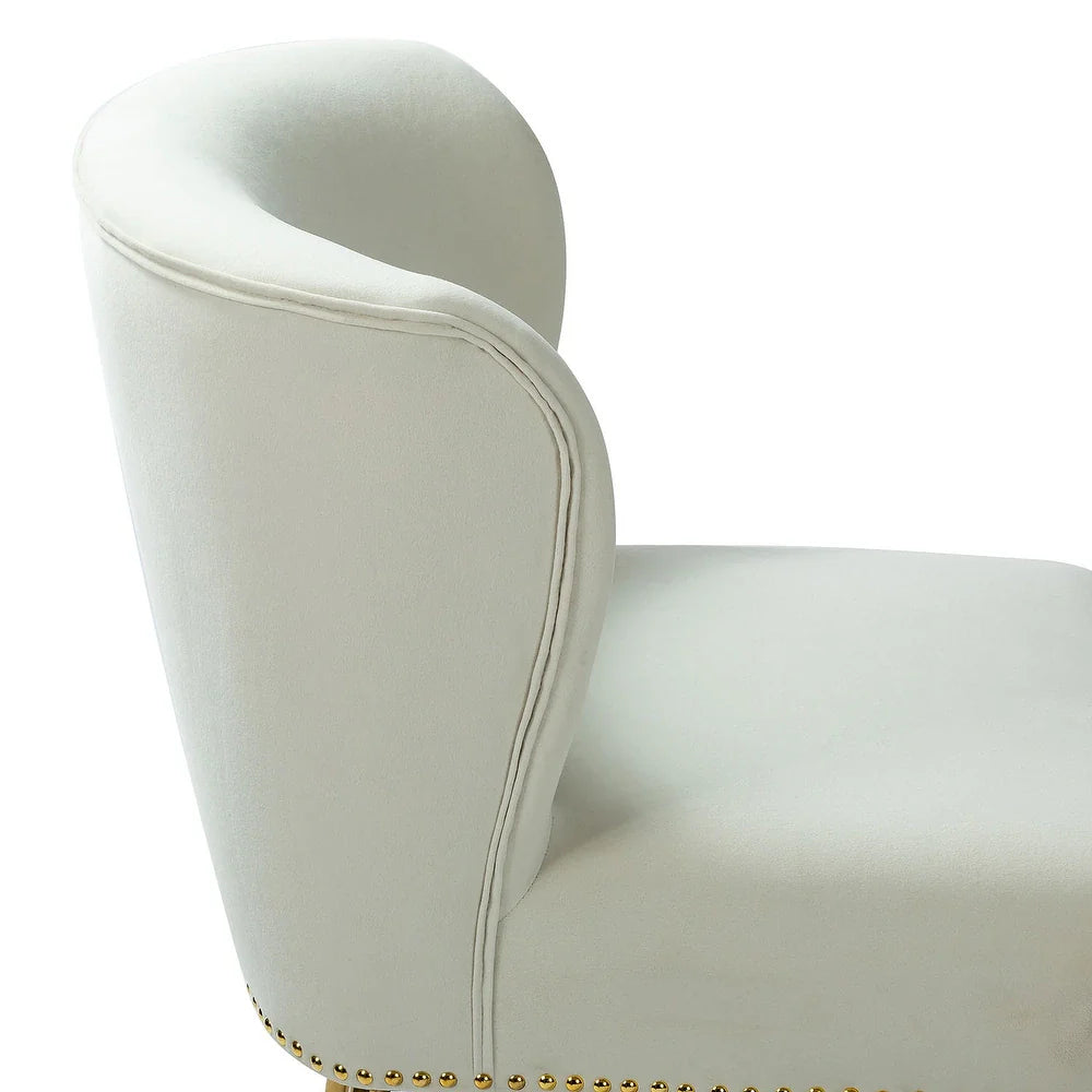 Celtia Modern Upholstered Accent Side Chairs with Nailhead Trim Set of 2