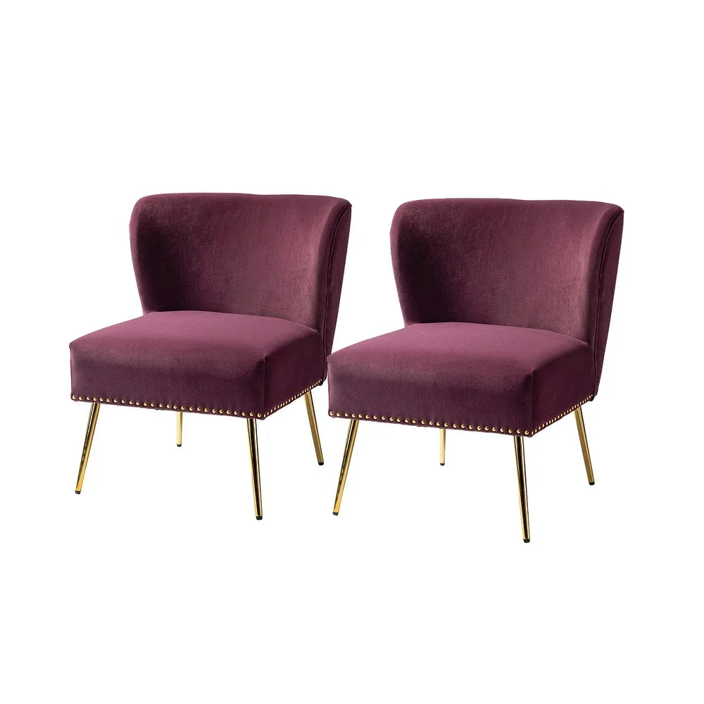 Celtia Modern Upholstered Accent Side Chairs with Nailhead Trim Set of 2