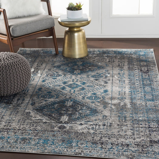 Oriental Distressed Persian Pattern Sky Blue Light Gray Soft Area Rug