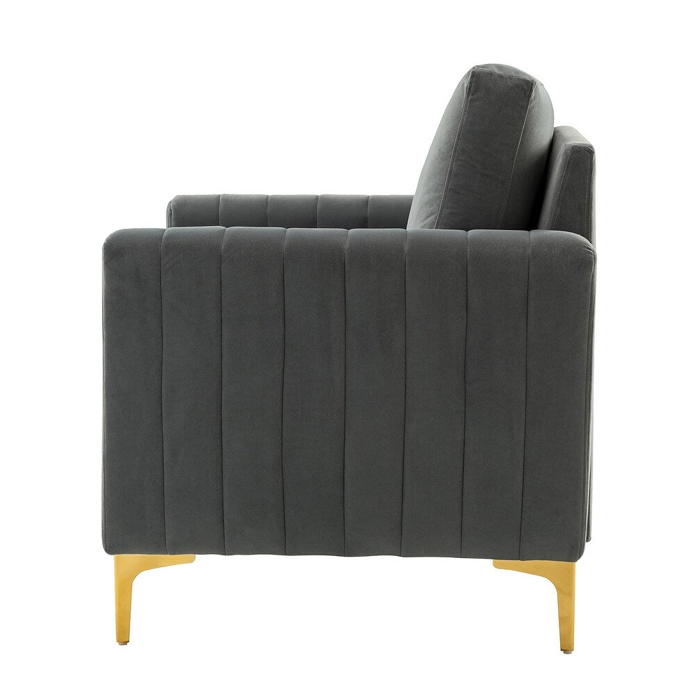 Ganymedes Contemporary Velvet Accent Arm Chair with Golden Legs