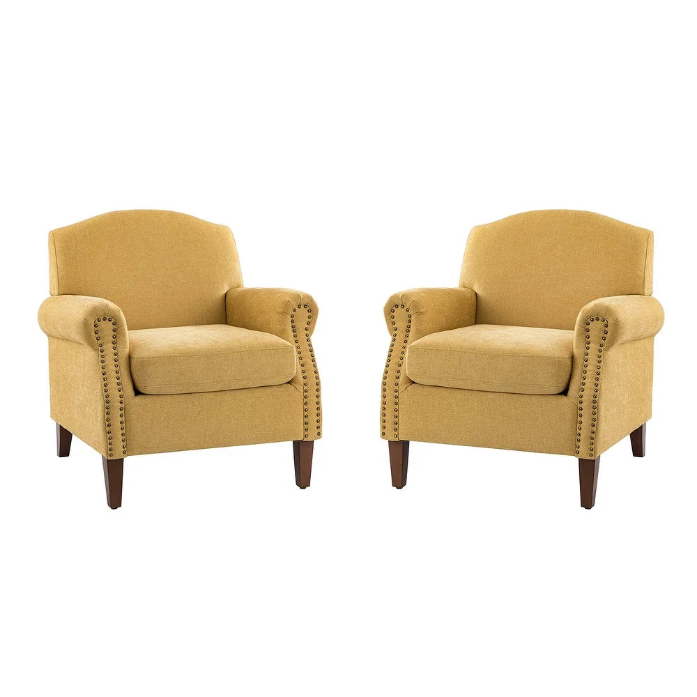 Giampiero Upholstery Armchair with Nailhead Trims for Living Room Set Of 2