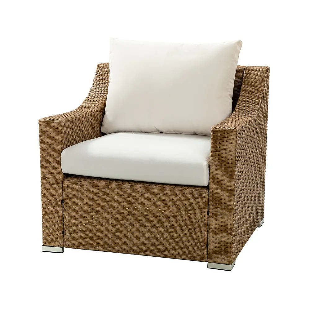Prgos 12-piece Polyethylene Wicke rOutdoor Storage Seating Set with Cushions