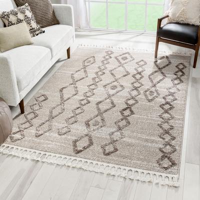 Moroccan Diamond Pattern Ivory/Brown High-Low Textured Soft Area Rug