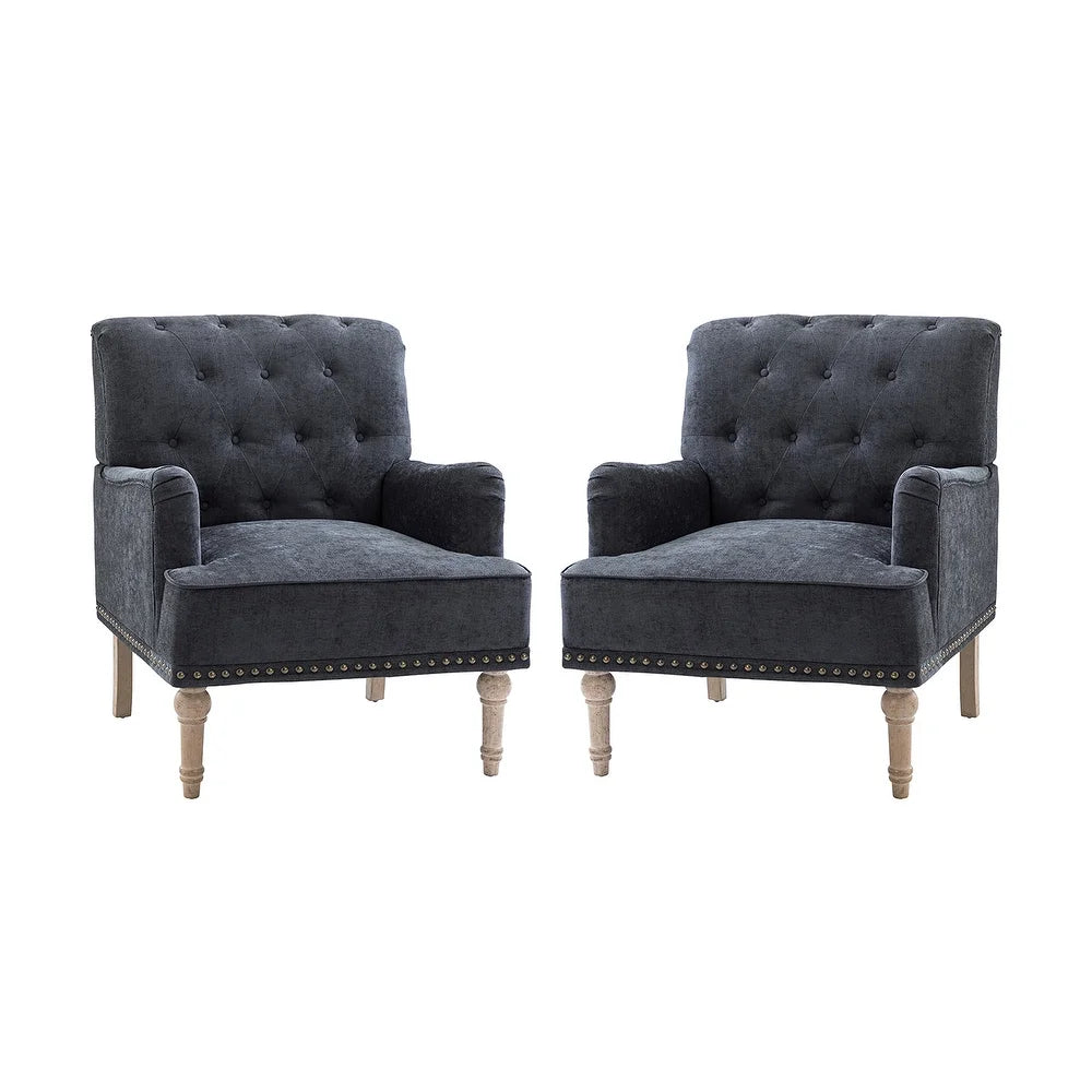 Geltrude Traditional Upholstered Accent Chair with Button Tufted Back Set of 2